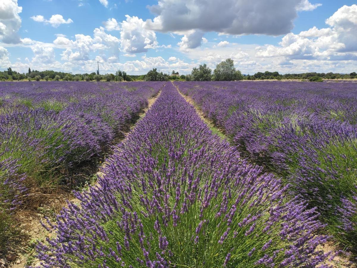 La Baume-de-Transit Les Champs De Provence B&B 외부 사진